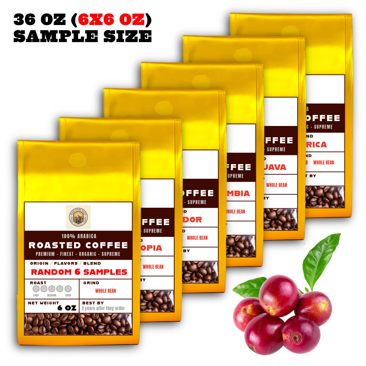 36OZ Random 6 x 6 OZ Sample Size Coffee Beans Roasted Espresso Coffee Supreme Finest Artisan Beans vary from Vanuatu Sumatra Ethiopia  Brazil Kenya Colombia Guatemala Burundi Costa Rica East Java El Salvador Honduras etc